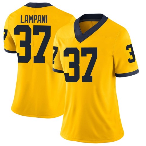 Jonathan Lampani Michigan Wolverines Women's NCAA #37 Maize Limited Brand Jordan College Stitched Football Jersey ZYR1454VM